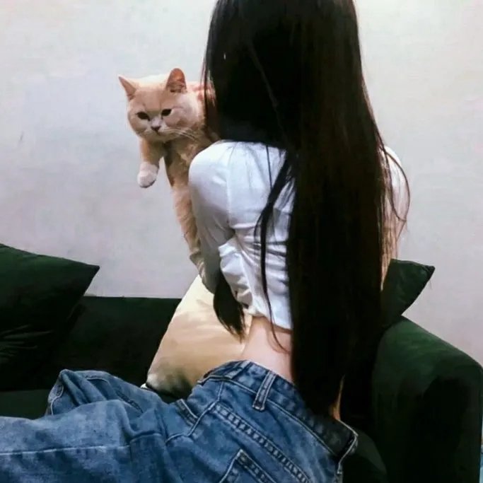 完美罪行